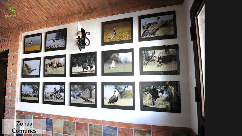 Apartamentos Rurales Monfraguee Torrejón el Rubio Exteriör bild